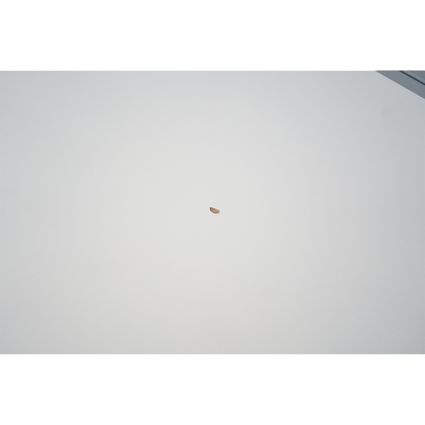 Loopr AS white curved meeting table surface with integrated cable management hatch